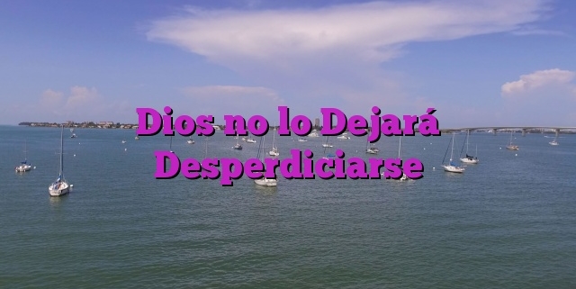 Dios no lo Dejará Desperdiciarse