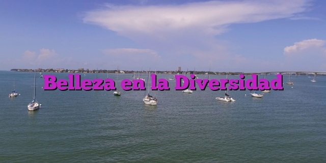 Belleza en la Diversidad