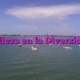 Belleza en la Diversidad