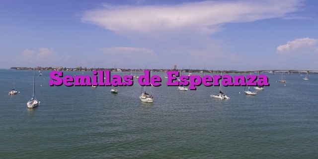 Semillas de Esperanza