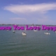 Those You Love Deeply