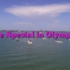 The Special in Olympics