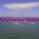 Forgiveness Button