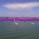 Loving Compassion