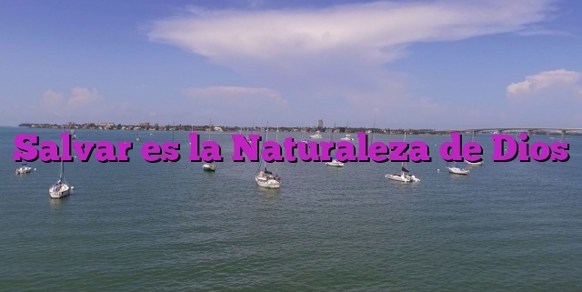 Salvar es la Naturaleza de Dios