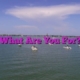 What Are You For?