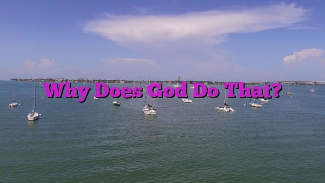 what-does-god-do-for-his-people-bible-study-scripture-bible-study