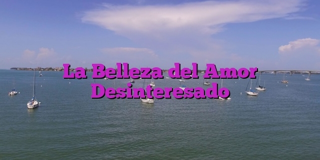 La Belleza del Amor Desinteresado