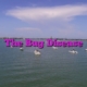 The Bug Disease