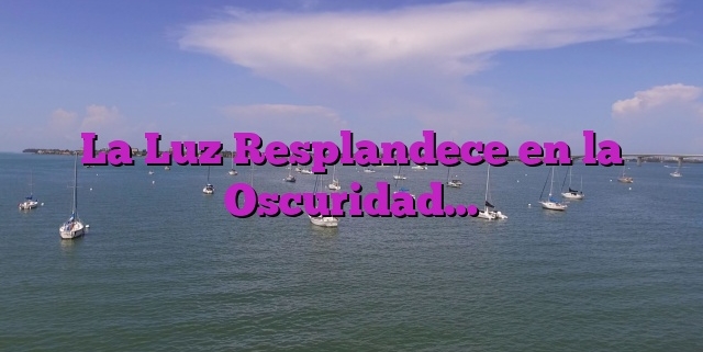 La Luz Resplandece en la Oscuridad…