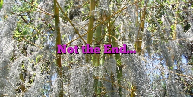 Not the End…