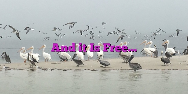 And it Is Free…