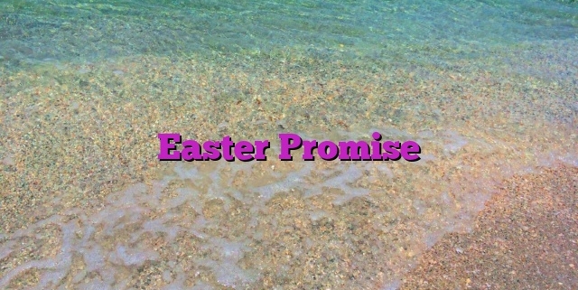 Easter Promise