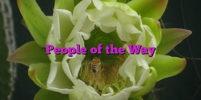 People of the Way