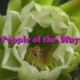 People of the Way