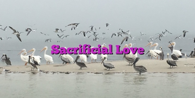 Sacrificial Love