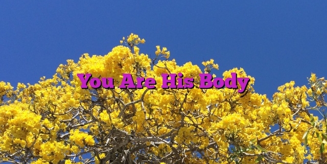 You Are His Body