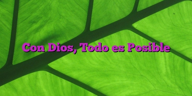 Con Dios, Todo es Posible