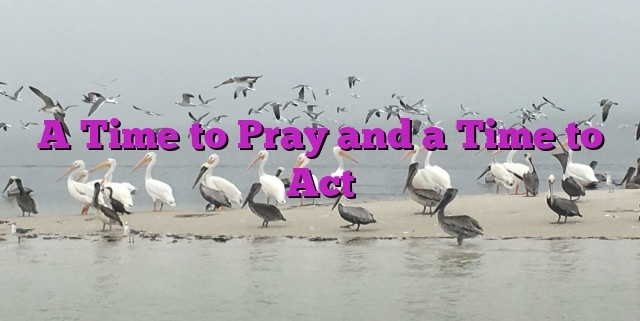 A Time to Pray and a Time to Act