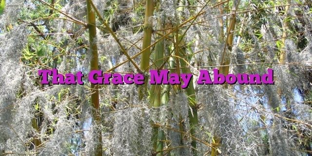 That Grace May Abound