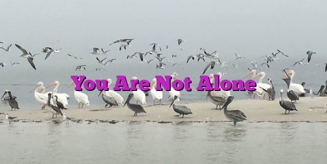 You Are Not Alone