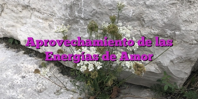 Aprovechamiento de las Energías de Amor