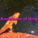 Assurance of Help