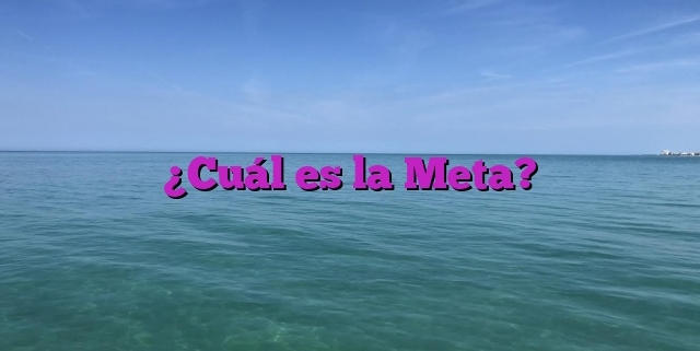 ¿Cuál es la Meta?