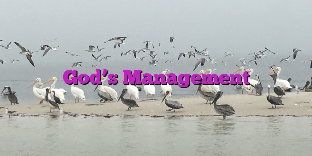 God’s Management