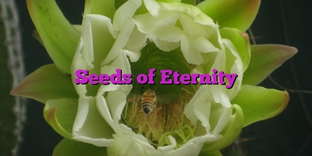 Seeds of Eternity