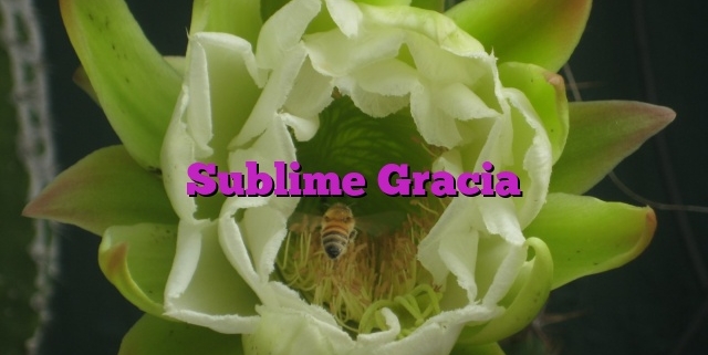 Sublime Gracia