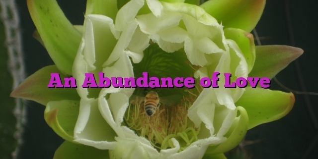 An Abundance of Love