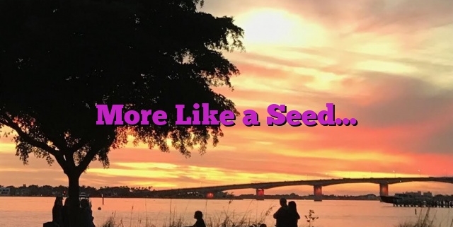 More Like a Seed…