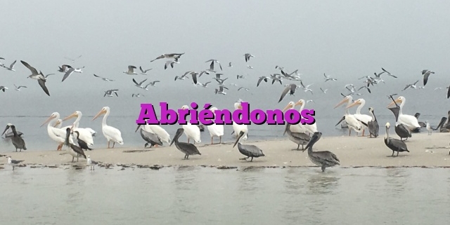 Abriéndonos