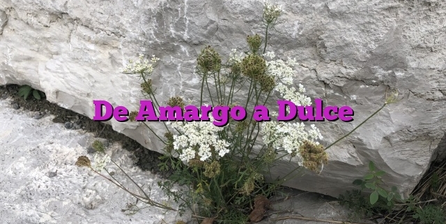 De Amargo a Dulce