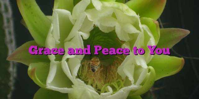 Grace and Peace to You