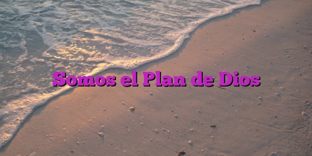 Somos el Plan de Dios