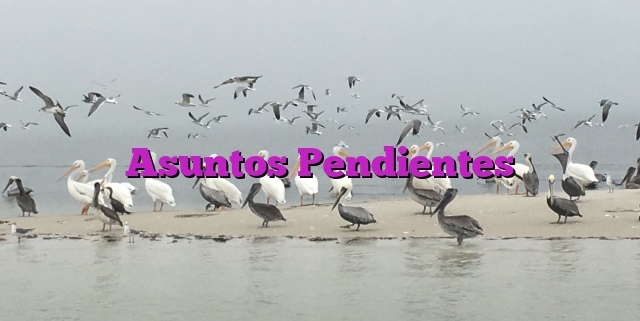 Asuntos Pendientes