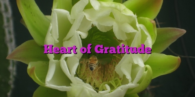 Heart of Gratitude