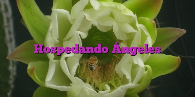 Hospedando Ángeles