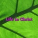 Life in Christ