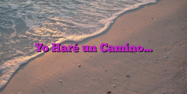 Yo Haré un Camino…