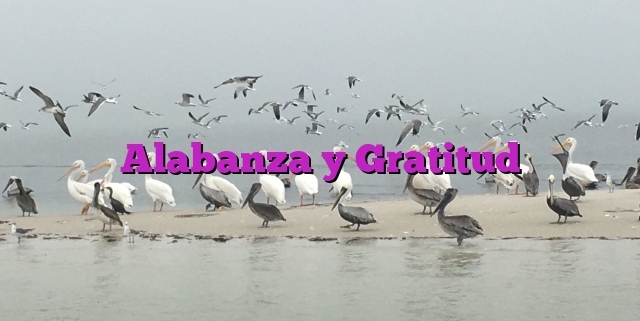 Alabanza y Gratitud