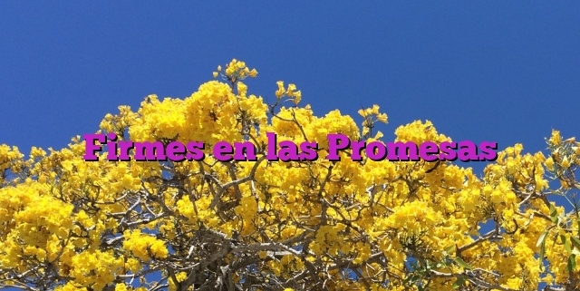 Firmes en las Promesas