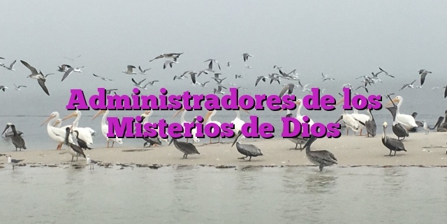 Administradores de los Misterios de Dios