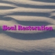 Soul Restoration