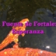 Una Fuente de Fortaleza y Esperanza