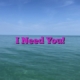 I Need You!