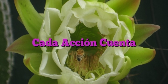 Cada Acción Cuenta