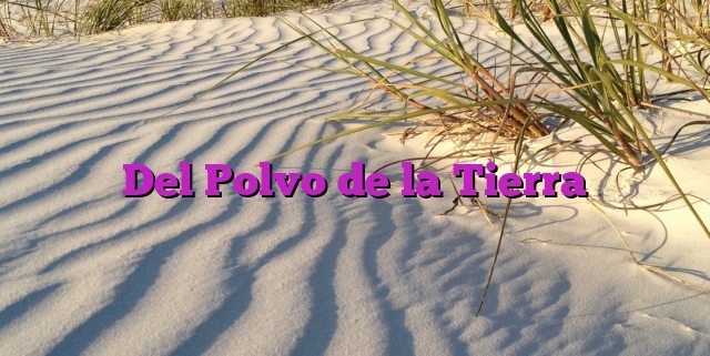 Del Polvo de la Tierra